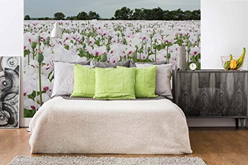 WTD Mantiburi Papier peint photo non tissé Motif coquelicots Violet 375 x 250 cm (avec colle) – Papier peint non tissé – Papier peint mural – Prêt à être monté