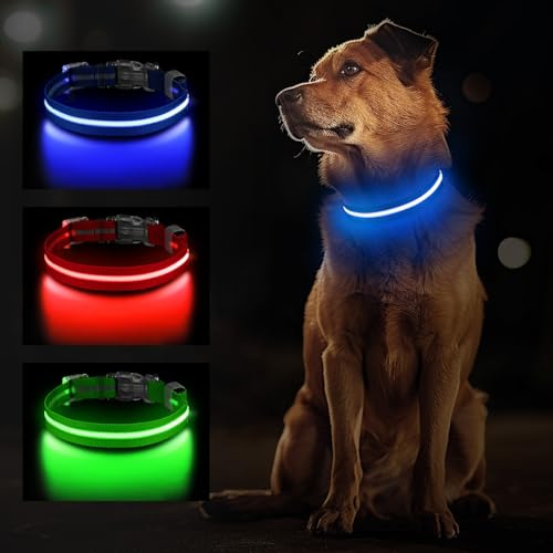 Jewyow Leuchthalsband Hund, Wiederaufladbares LED Hundehalsband für Kleine, Mittelgroße & Große Hunde, Verstellbares Hundehalsband Leuchtend mit Wasserdicht, 3 Modi, Blau-S