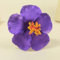 Pince à cheveux avec fleurs tropicales artificielles - Style bohème - Pour vacances hawaïennes à la mer - Violet