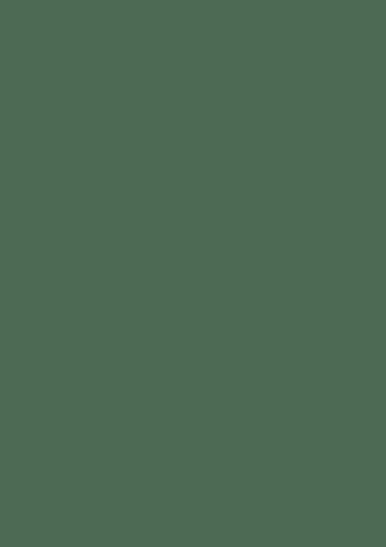 BRUNNEN Multifunktionspapier Universalpapier | A4, 120 g/m², moosgrün, 35 Blatt