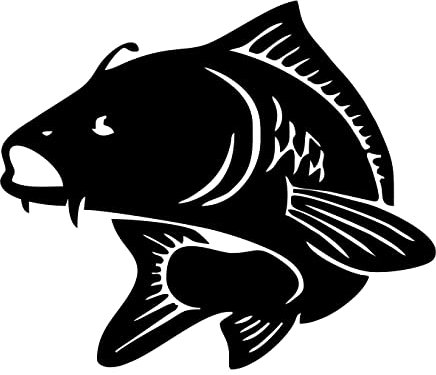 Preisgekrönter Aufkleber Karpfen Farbe schwarz passend für Auto Motorrad Wohnmobil PC