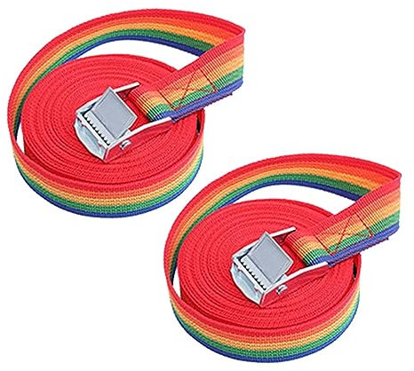 Dreneco 2M Sangle d'Arrimage, 2 Pièces Sangle à Cliquet avec Boucle de Serrage en Alliage de Zinc pour Fixation Moto,Voiture, Vélo, Bagage (Coloré)