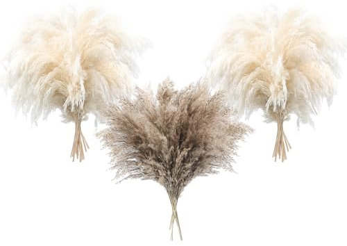 36 Stück Pampas Gras Boho Dekor Flauschiges Pompas Gras Natürliches getrocknetes Pampasgras Kleine Kurze Pampas Bulk für Boho Home Decor Hochzeit Dekor Tisch Dekor (24StückWeiß+12Stück Natural)