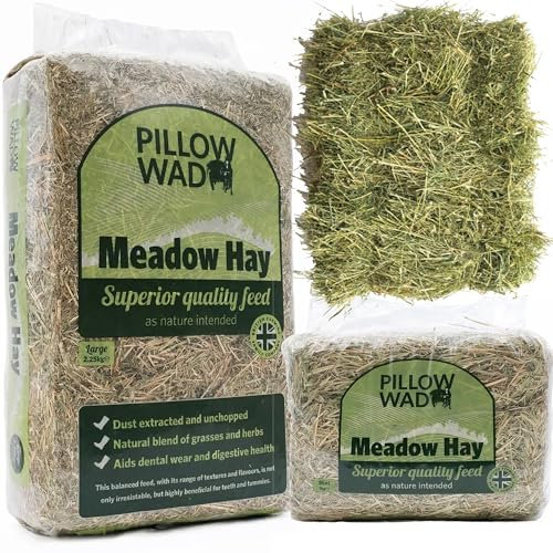 STORM TRADING GROUP Fresh Meadow Hay For Small Animals Dried Grass Natural Feed Ideal For Rabbit Food, Hay For Guinea Pigs & Hedgehogs (1KG, 2 Bags)