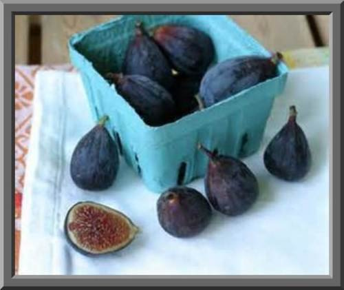 10 semi di Black Fico Mission semi! AUTO FERTILE! EAT FRESH/CAN/o secco!