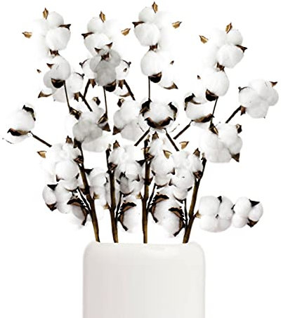 jiuzcare Baumwolle Zweig Natürlich Stängel Bauernhaus Getrocknete Blumen Baumwollblüten Baumwollpflanze Baumwollstiel Weiss Künstliche Trockenblume für Vase Hochzeit Party Deko, 4 Pack10 Balls [40PCS]