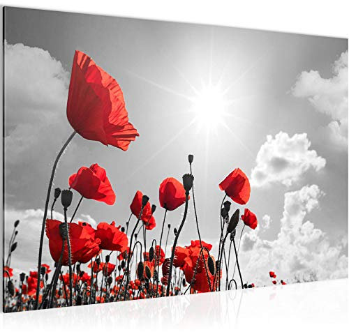 Runa Art Bild Blumen Mohnblume Modern Wandbilder Wohnzimmer 1 Teilig - Made In Germany - Feld Grau Rot Flur 034415b