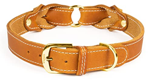 CopcoPet Hundehalsband Heidi 30 – 35 cm x 30mm Cognac – Aus weichem Leder mit Ziernaht & verchromten Beschlägen – Robust, stilvoll & verstellbar – Für mittelgroße Hunde, Spaziergang & Alltag