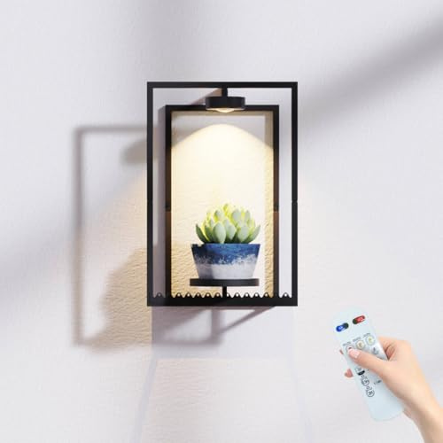 Frame Wall Plant Stand Indoor, Metal Wall Planters Holders with Remote Grow Light, Picture Frame Plant Shelves Wall Decor for Bedroom Bathroom Living Room Home Office (1, Small)