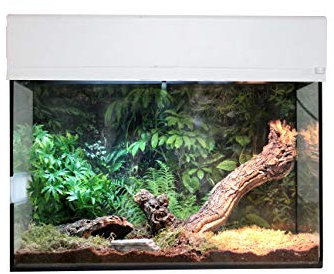 Lucky Reptile Starter Kit Vogelspinne/Skorpion, Farbe:Weiß