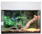 Lucky Reptile - Kit de démarrage araignée & Scorpion 50 cm - Kit Complet araignées et Scorpions - Kit Terrarium de Haute qualité avec Accessoires pour débutants – Kit de démarrage en Blanc