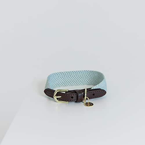 Kentucky Dogwear - Jacquard Hundehalsband - Hellblau - Größe S - 42cm