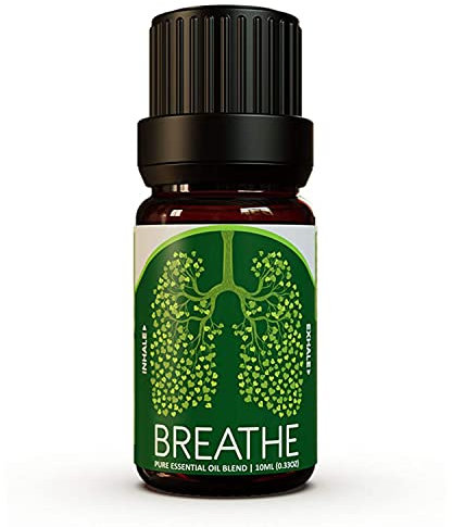 Ecodrop Decongesting Essential Oil Blend - 10ml Bottle | Pure Therapeutic Grade Eucalyptus, Peppermint & Laurel Bay Leaf Oils for Easy Breathing | Aromatherapy Diffuser Oil Aids Respiratory Health