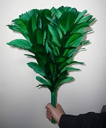 Bemagic007 Blühender Blumenstrauß (5 Blüte) Deluxe – Zaubertricks, Bühnenmagie, Partymagie, magischer Streich, etc.