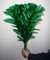 Bemagic007 Blühender Blumenstrauß (5 Blüte) Deluxe – Zaubertricks, Bühnenmagie, Partymagie, magischer Streich, etc.