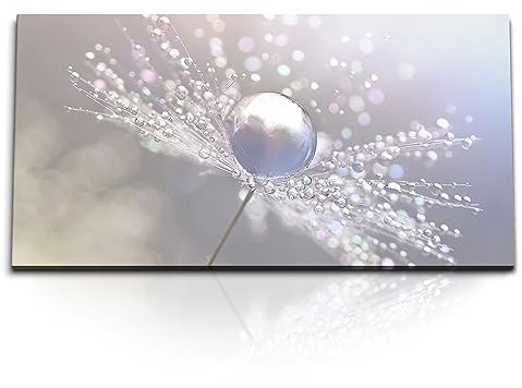 Paul Sinus Kunstdruck Bilder 120x60cm Nahaufnahme Pusteblume Regentropfen Wassertropfen