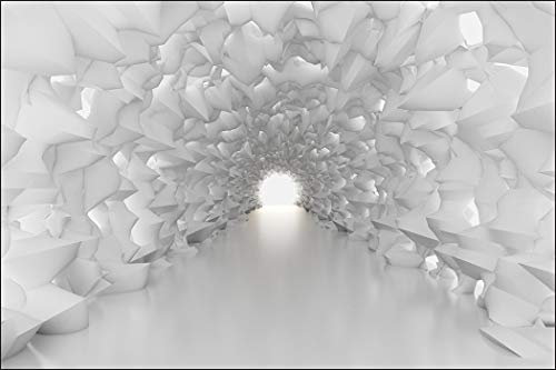 Muralo Fototapete 3D Effekt 120 x 180 cm Vlies Wand Tapete Tunnel Abstraktion Optische Täuschung 3D Optik Wohnzimmer Schlafzimmer Moderne Wandbild