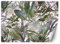 Feeby Papier Peint Intisse Plantes Tropicales Fleurs 250x175 cm vert XXL Photo Mural Muraux Tapisserie Motif Floral Exotique