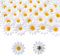 AhLmA 100 stück Kunstblumen Frühlingsblumen deko 4.5cm Kunstblumen Köpfe Gänseblümchen Blütenköpfe Deko Blumen Basteln zum Dekorieren Von Hausgarten, Hochzeitsfeier, Basteln(Weiss)