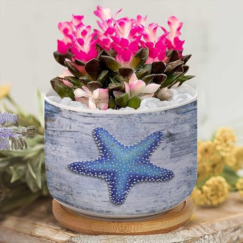 Yelolyio Pot de fleurs en forme d'étoile de mer sur le thème de l'océan - Pot de fleurs personnalisé pour succulentes - Petit pot de fleurs personnalisé pour grand-mère