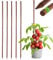 KADAX Tuteur en bois imprégné pour plantes grimpantes - Résistant aux intempéries - Tuteur de fleurs - Treillis - Piquets en bois - 5, 28 mm x 180 cm