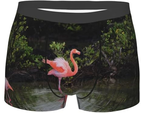 TRESILA Boxer pour homme - Respirant et confortable - Tissu doux - Motif tracteur agricole, Deux flamants roses., L