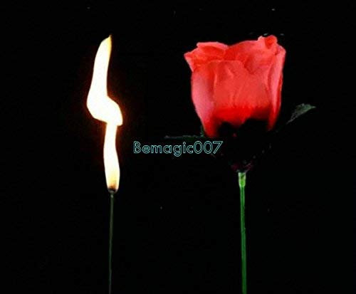 Fire Magic Tricks 2 x Feuerrosen, Torch to Rose