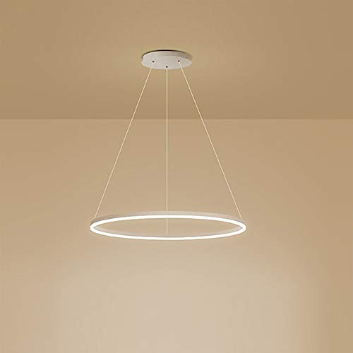 1-Licht Single Circle Pendelleuchte Nordic Modern Ring Lüster Abgehängt Verstellbar LED Hängelampe Für Wohnzimmer Schlafzimmer Esszimmer,White+Warm White-80CM 50W