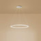 1-Licht Single Circle Pendelleuchte Nordic Modern Ring Lüster Abgehängt Verstellbar LED Hängelampe Für Wohnzimmer Schlafzimmer Esszimmer,White+Warm White-80CM 50W