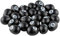 Meinl Percussion Egg Shaker Set - 24 Egg Shaker im Set mit klarem, weichem Sound - Musikinstrument - Kunststoff, Schwarz (ES-SET24-BK)