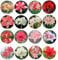 5 Zufälliges Mischen Amaryllis Zwiebel Steckzwiebeln Kaufen Weihnachten Amaryllis Zwiebeln Winterhart Mehrjährig Winterharte Pflanzen Für Garten Balkon Pflanzen Zierblumen Hydroponik Blumenzwiebeln