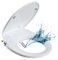 Hibbent Sedile WC bidet non elettrico con funzione autopulente separata, doppio ugello, lavaggio igienico per pulizia posteriore e femminile, adattatore a T in metallo incluso (rotondo/standard -