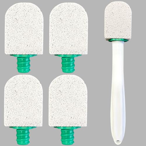 Confezione da 5 Pietra Pomice per WC Ceramica, con 1 manico, spazzola per la pulizia in pietra pomice, per bagno, cucina, piscina, macchie profonde