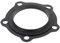 Guarnizione base 5 fori 60003308, 924001 per scaldabagno Ariston
