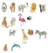 15 Pieces Animal Patches, Embroidery Patches, Patches for Backpacks, Iron on Repair Patches for Clothing, DIY Custom Patch for Clothes, Pants, Hats, Jeans
