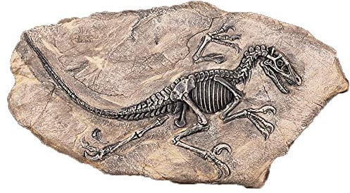 VOANZO Resin Dinosaur Fossil Statue Modell Simuliertes Skelett Home Office Display Dekorative Basteldekoration