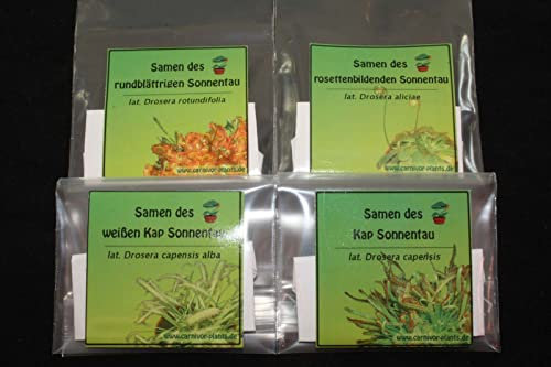 Fleischfressende Pflanzen 4 x 100 unterschiedliche Drosera Samen! - Sonnentau - 0,03€Samen