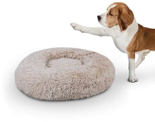 Bestlivings Haustierbett Fluffy Ø70cm (Beige) XL - Hundekissen rund flauschig, Öko-Tex, rutschfest und waschbar - Hundebett Katzenbett Hunde & Katzen