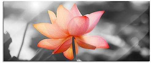 Pixxprint Glasbild Panorama, Wandbild aus Echtglas, zarter Lotus, 120x50 cm, inkl. Aufhängung und Abstandshalter