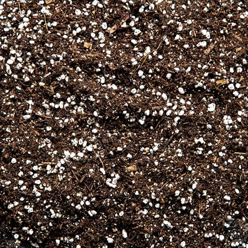 Superior Cacti and Succulent Potting Mix - Enriched with Nutrients (50L)