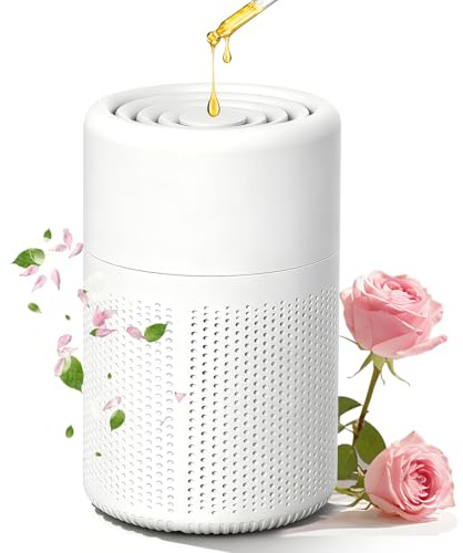 Weiongppy Air Purifier for Home, Quiet Small Air Cleaner with H13 HEPA Filter & Fragrance Sponge, Portable Silent Smoke Remover for Bedroom, Office, Smoke, Allergies, Dust, Odor, Pet Dander
