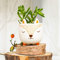 Sass & Belle Mini jardinière Renard des Bois