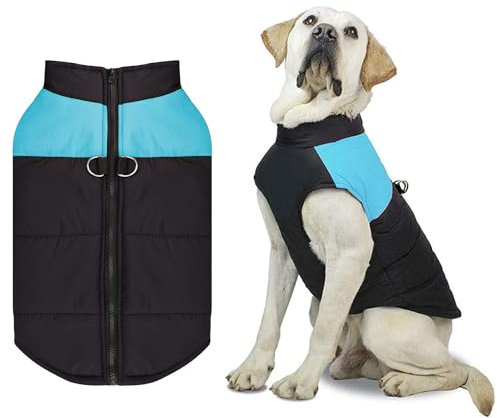 Hundemantel für Kleine Hunde,Hunde Jacke Warm Hundemantel Winter Winterjacke Hundemantel Wasserdicht Wintermantel Hund für Kleine Mittlere Grosse Hunde mit D-Ring Winddichte Hundejacke
