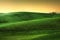 adrium Holz-Bild 90 x 60 cm: Toskana Frühling, sanfte Hügel bei Sonnenuntergang. Ländliche Landschaft. Grüne Felder, einsamer Olivenbaum und Ackerland. Volte(47414156)