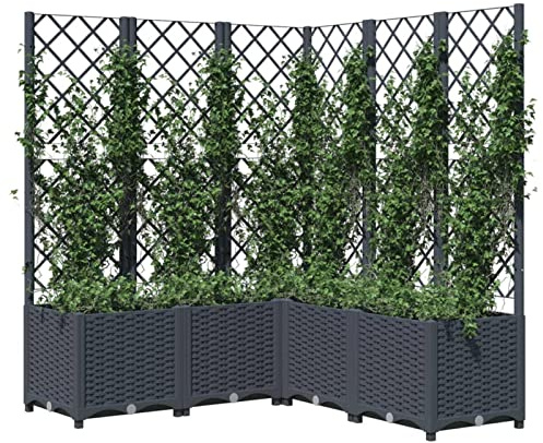 Tidyard Trädgårdsplanterare med spaljé, hörnspaljé planterare, trädgårdsarbete balkong uteplats upphöjd säng för klätterväxt grönsaker, trädgård trä blomlåda mörkgrå 120 x 120 x 136 cm
