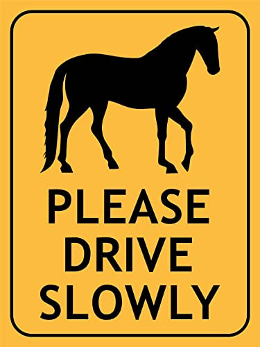 452 Warnschild Pferde Fahren Bitte Langsam Retro Verbotsschild Personalisierte Türschild 20X30Cm, Infoschild