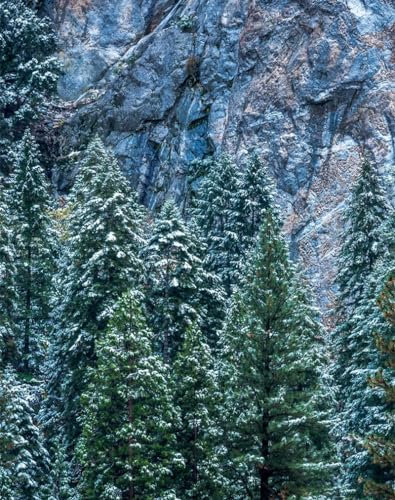 Puzzle 1000 Teile ab 12 Jahren,buntes Erwachsenenpuzzle -USA, Kalifornien, Yosemite 70x50cm