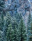 Puzzle 1000 Teile ab 12 Jahren,buntes Erwachsenenpuzzle -USA, Kalifornien, Yosemite 70x50cm