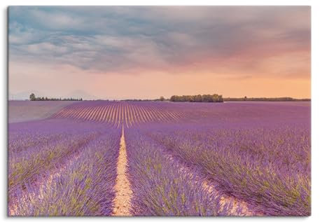 Paul Sinus Wandbild 100x70cm – Endloses Lavendelfeld in der Provence – Natur, Harmonie, Lavendel, Blütenpracht, Ruhe