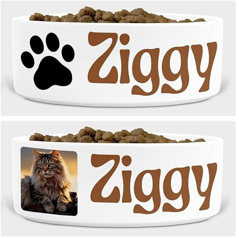 Personalised Cat Bowl – Custom Pet Name, Photo & Colour Options – Ceramic Food/Water Dish – Multiple Fonts & Layouts